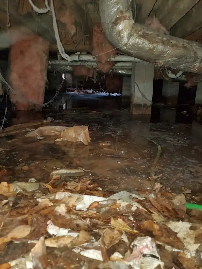 Crawl space flood assessment for Leak Detection & Repair in Philomath